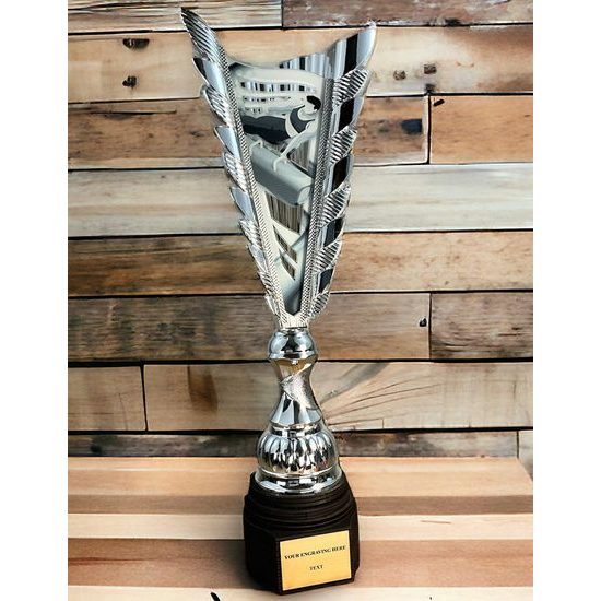 Chester Male Gymnastics Silver Trophy