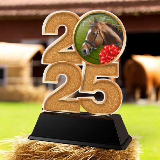 Equestrian Horse Riding 2025 Trophy