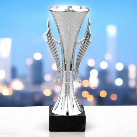 Marriott Silver Trophy Cup