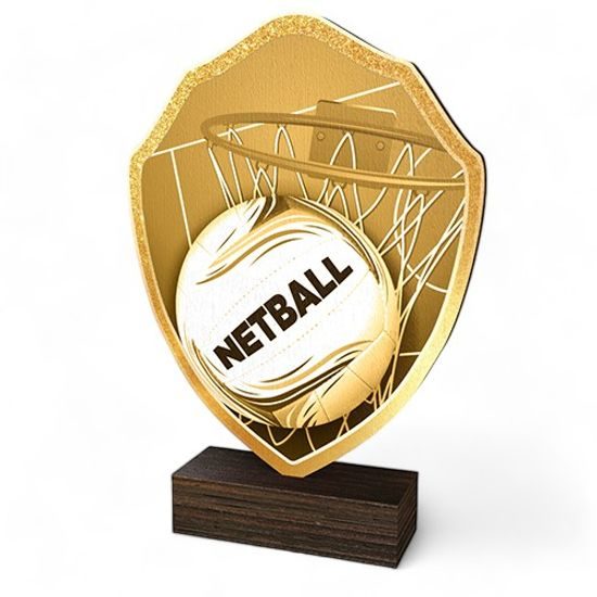 Arden Classic Netball Real Wood Shield Trophy