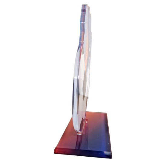 Cannes Football Goalkeeper Trophy