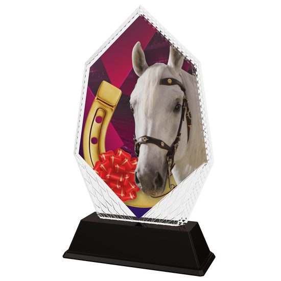 Cleo Horse Riding Trophy