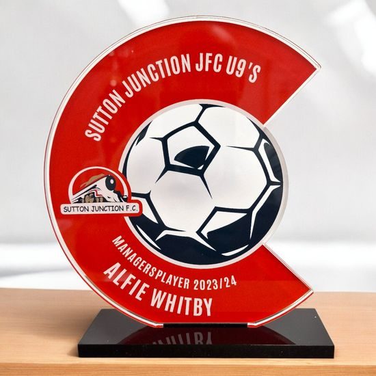 Tesla Landscape Custom Made Acrylic Award