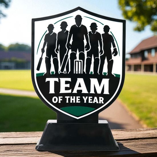 Pavilion Team of the Year Cricket Trophy