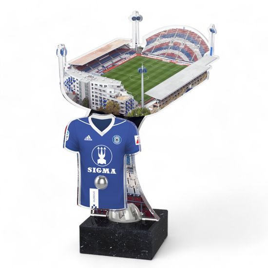 Stadium Shirt Custom Made Acrylic Award