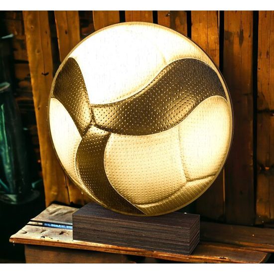 Sierra Classic Volleyball Ball Real Wood Trophy