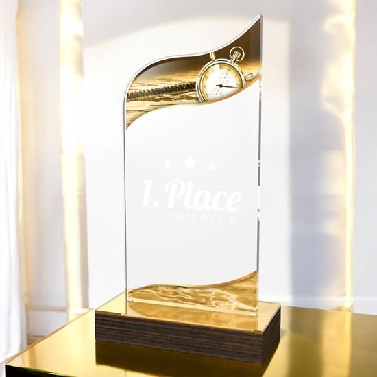 United Swimming Acrylic Wood Fusion Trophy