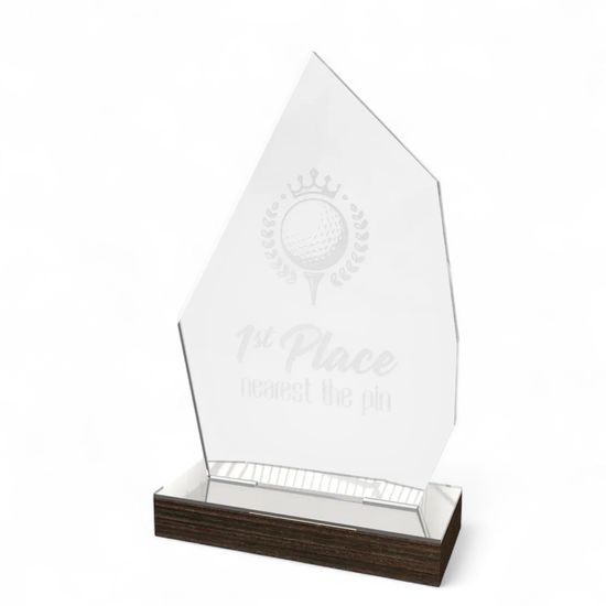 Pulse Acrylic and Wood Fusion Award