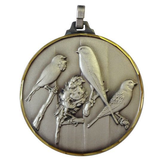 Diamond Edged Bird Fancier Silver Medal