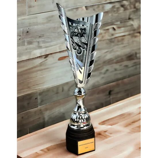 Chester Inline Skating Silver Trophy
