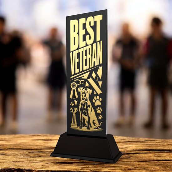 Shadowline Best Veteran Dog Trophy – Stainless Steel Award