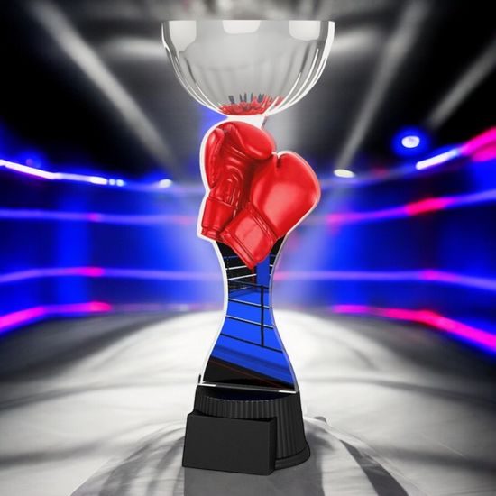 Montreal Boxing Gloves Silver Cup Trophy