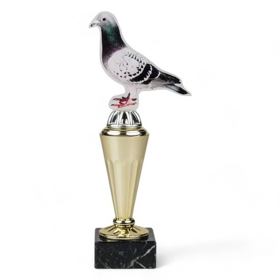 Capri Pigeon Trophy