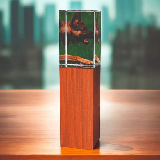 Lumina Dog Show Wood and Glass Award