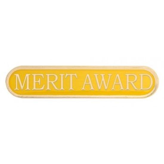 School Merit Award Badge (4 colours)