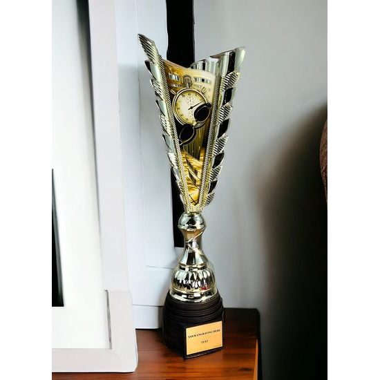 Chester Swimming Gold Trophy