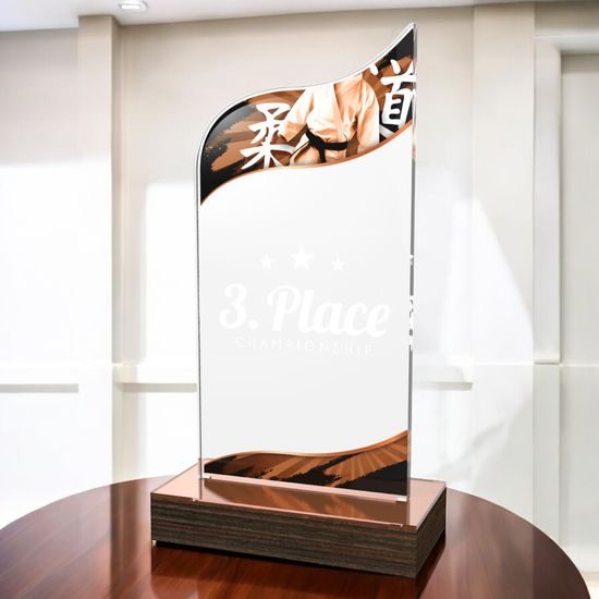 United Martial Arts Acrylic Wood Fusion Trophy
