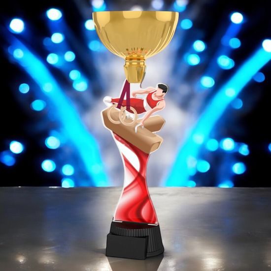 Vancouver Male Gymnast Gold Cup Trophy