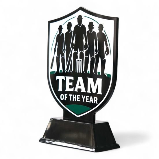 Pavilion Team of the Year Cricket Trophy