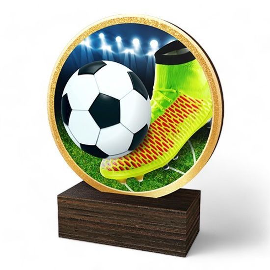 Holt Colour Football Boot Real Wood Trophy