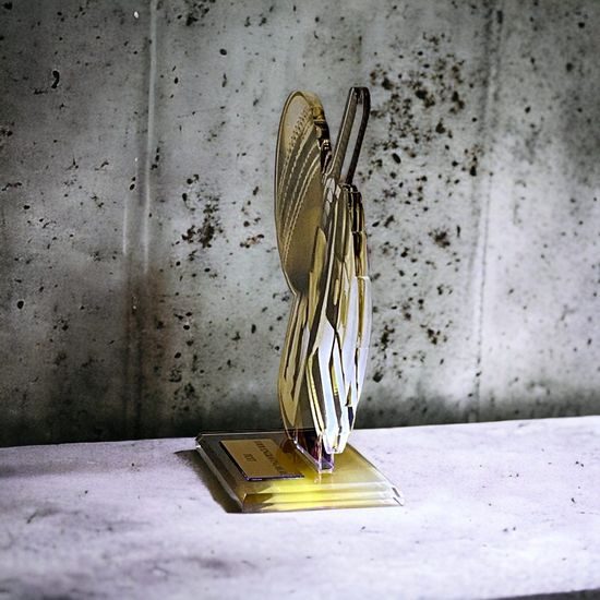 Cannes Classic Cricket Trophy