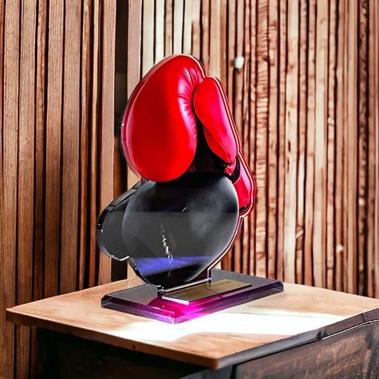 Cannes Boxing Trophy