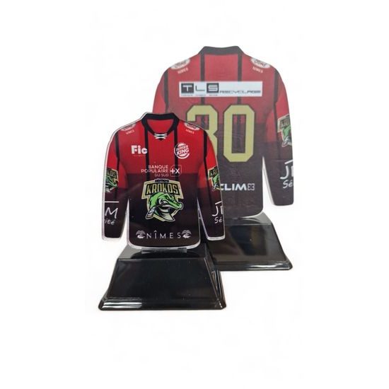 Ice Hockey Shirt Custom Made Acrylic Award