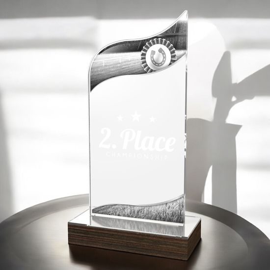 United Equestrian Rosette Acrylic Wood Fusion Trophy