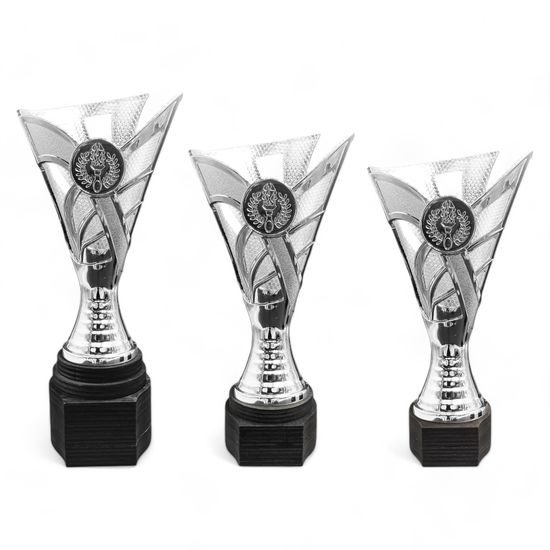Tewin Silver Laser Cup
