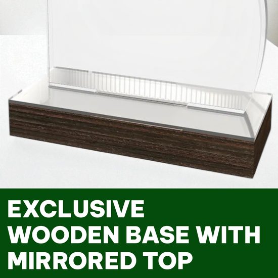 Nexa Acrylic and Wood Fusion Award