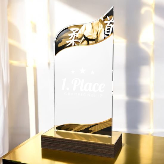 United Martial Arts Acrylic Wood Fusion Trophy