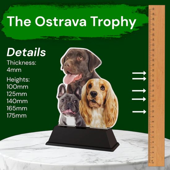 Ostrava Dog Multi Breed Trophy