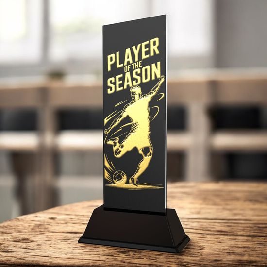 Shadowline Football Male Player of the Season Trophy – Stainless Steel Award