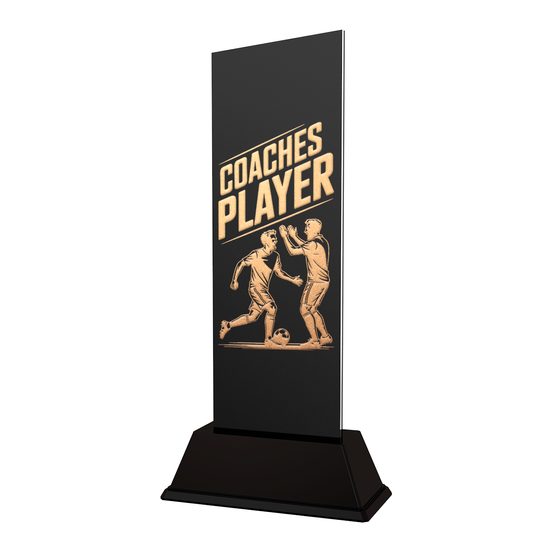 Shadowline Football Coach's Player Trophy – Stainless Steel Award