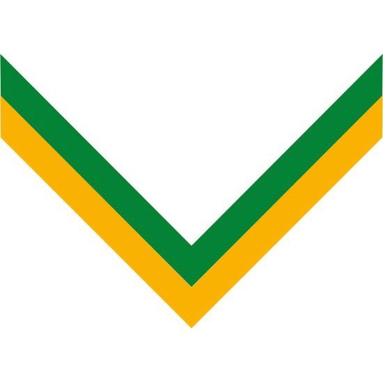 Green & Yellow threading ribbon