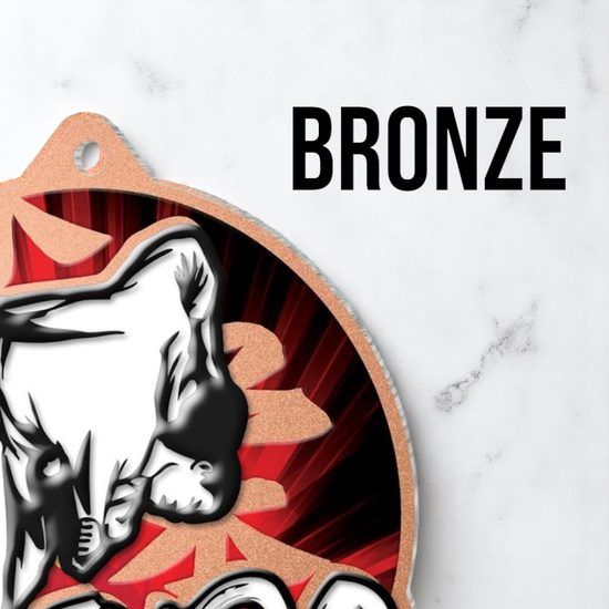 Aurum Judo Stainless Steel Logo Insert Medal