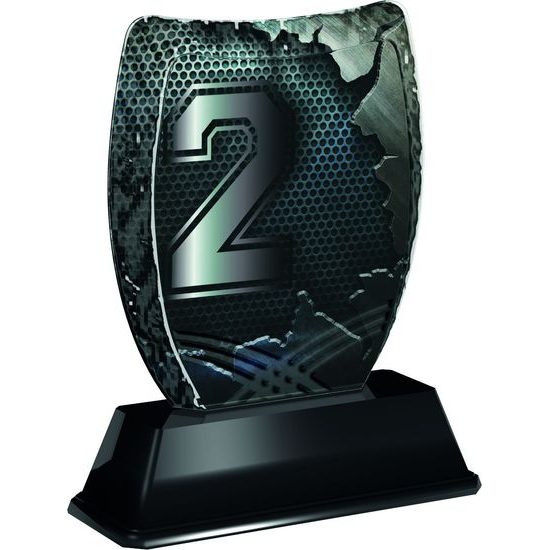 Iceberg 2nd Place Trophy