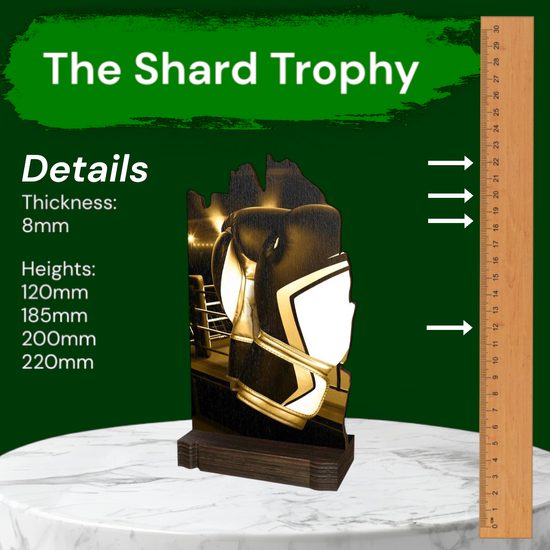Shard Classic Boxing Eco Friendly Wooden Trophy