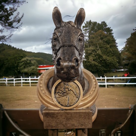 Endurance Horse Head Trophy