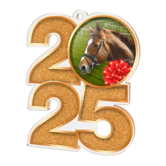 Equestrian Horse Riding 2025 Medal