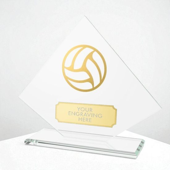 Vanguard Glass and Metal Fusion Netball Trophy