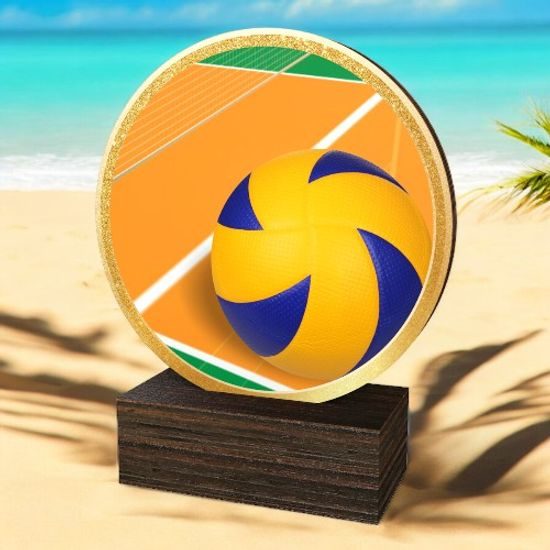 Holt Colour Volleyball Real Wood Trophy