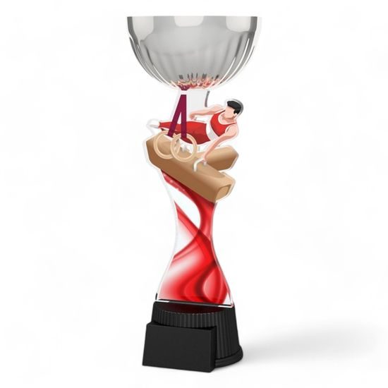 Montreal Male Gymnast Silver Cup Trophy