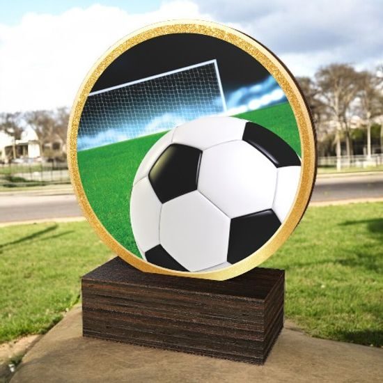 Holt Colour Football Real Wood Trophy