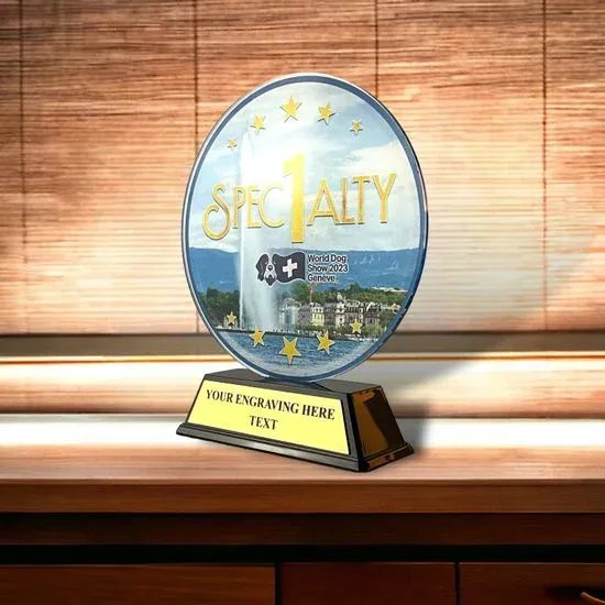 Edison Circular Custom Made Acrylic Logo Award