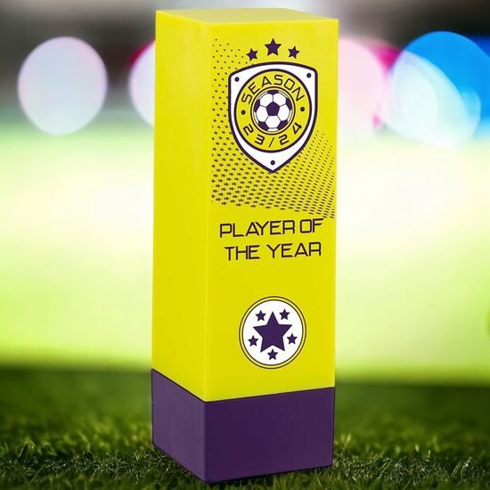 Prodigy Tower Player of the Year Football Trophy (FREE CLUB LOGO)