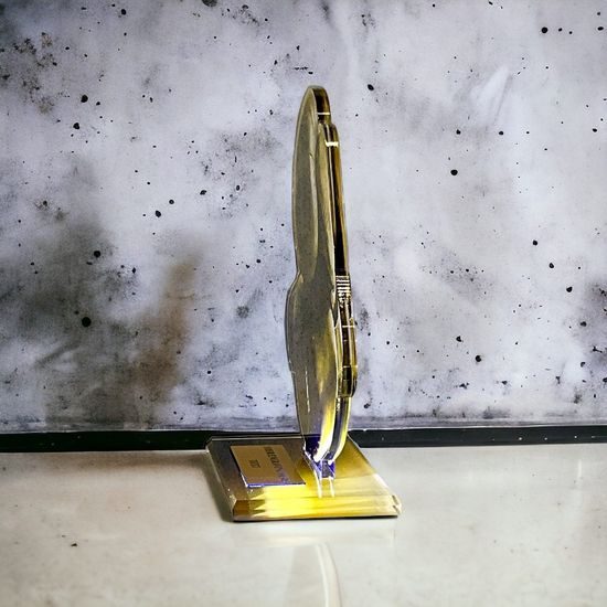 Cannes Classic Boxing Trophy