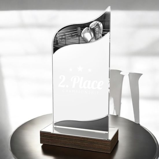 United Boxing Acrylic Wood Fusion Trophy