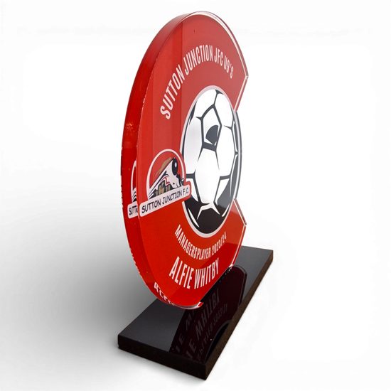 Tesla Landscape Custom Made Acrylic Award