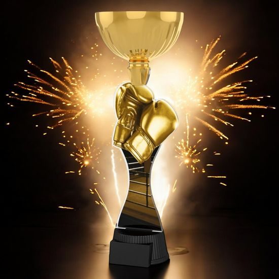 Vancouver Classic Boxing Gloves Gold Cup Trophy